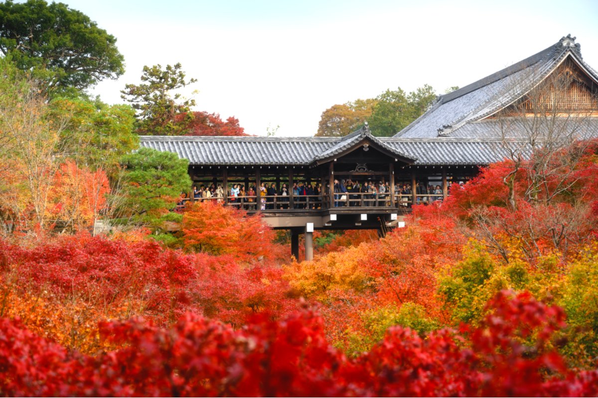 東福寺.jpg