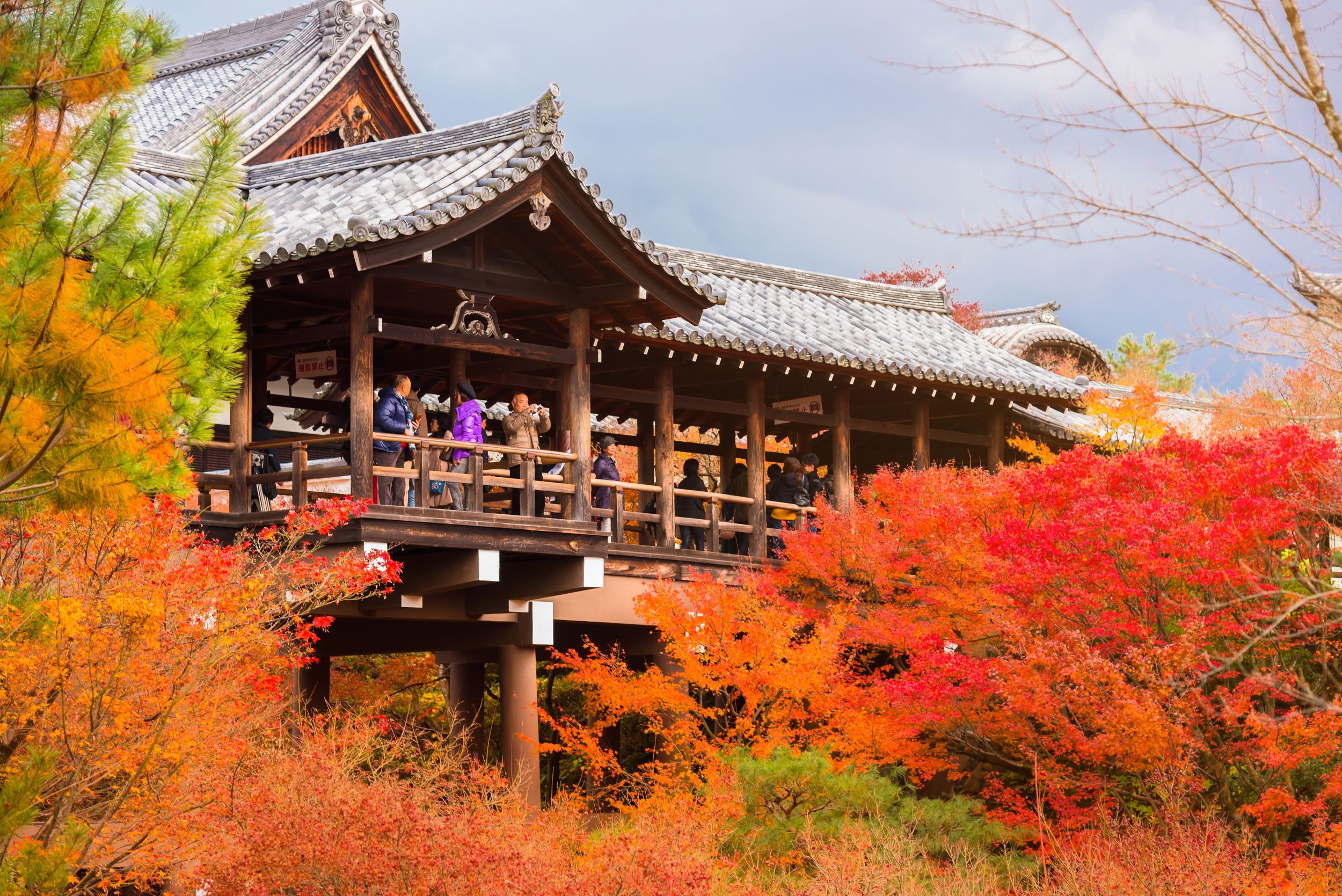 東福寺_shutterstock_1559291393コピー.jpg