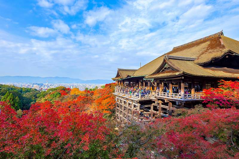 清水寺_shutterstock_737017792.jpg